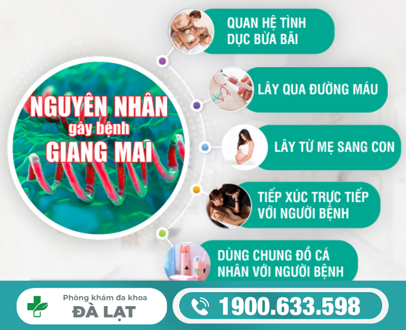 Hình ảnh minh họa